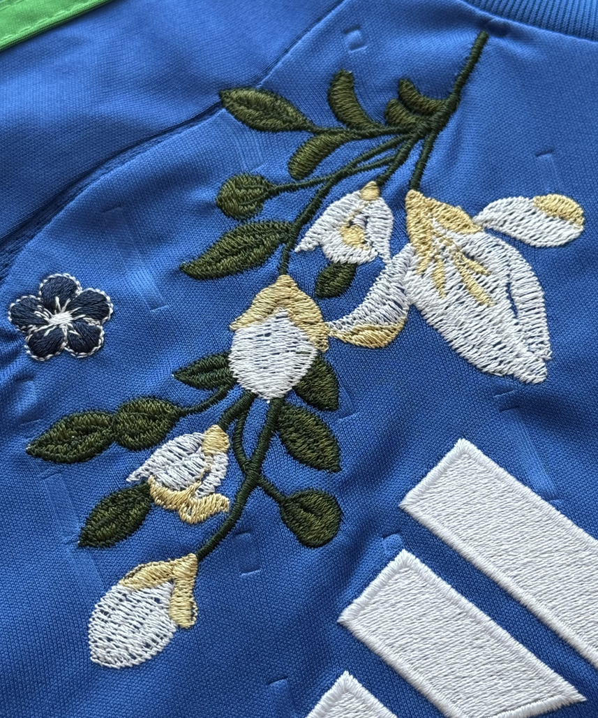 Italy Embroidered Jersey 2024/2025